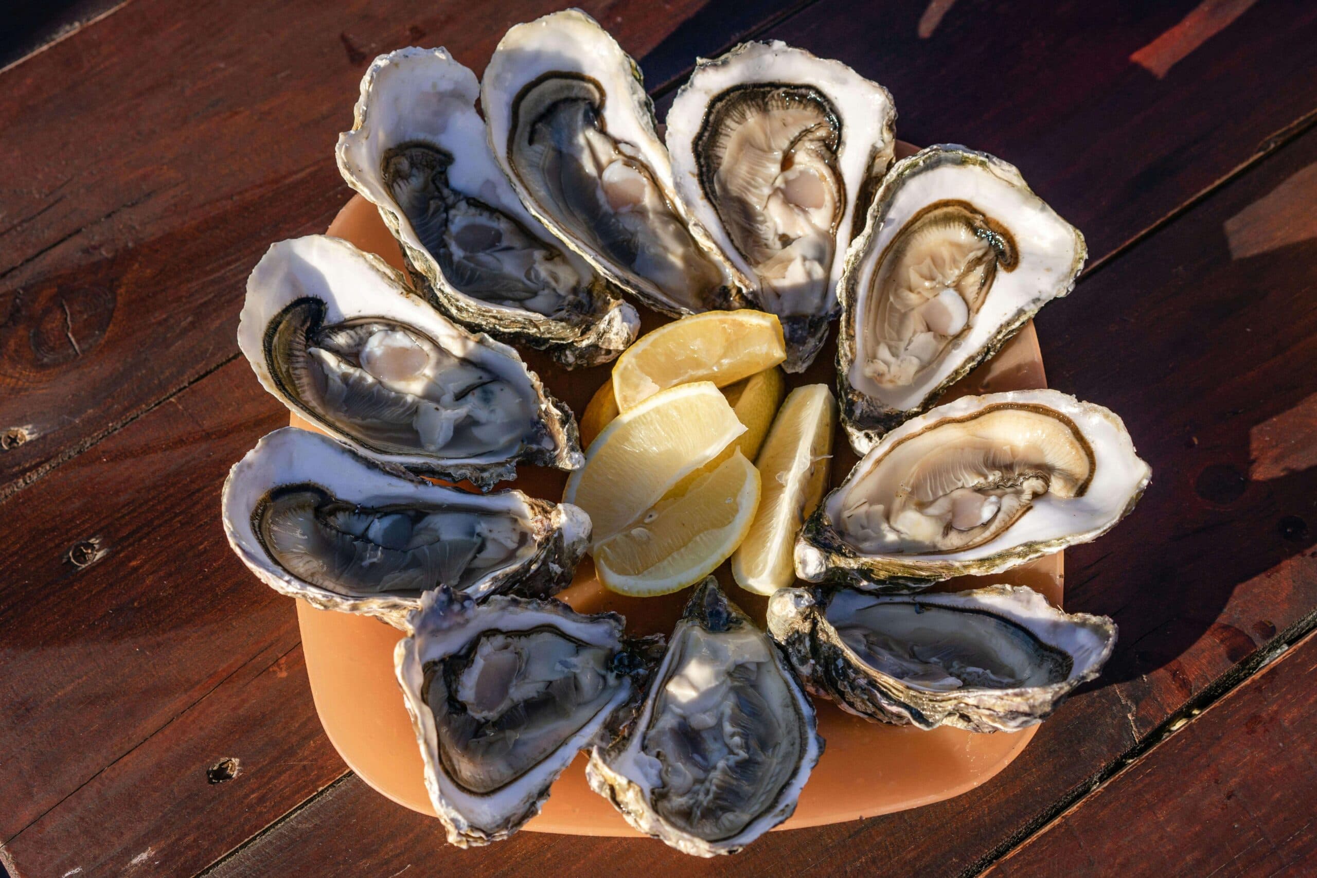 Your Guide to the Knysna Oyster Festival 2026